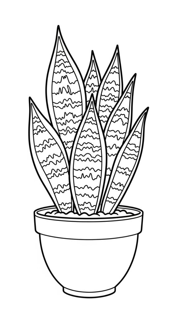 snake plant coloring page